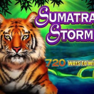 Sumatran Storm